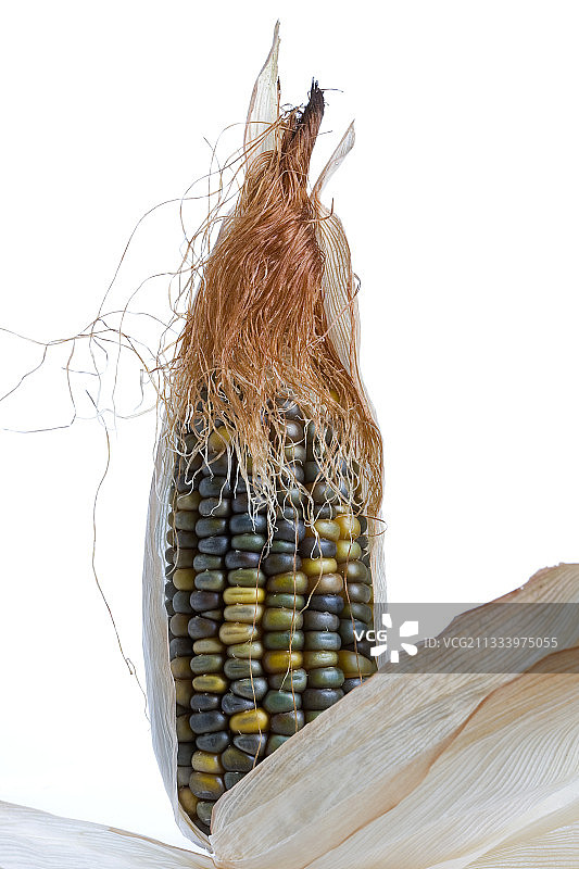 瓦哈卡绿玉米粉图片素材