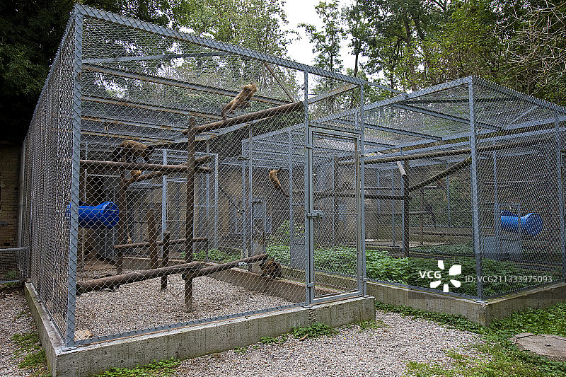 法国斯特拉斯堡灵长类动物研究所图片素材