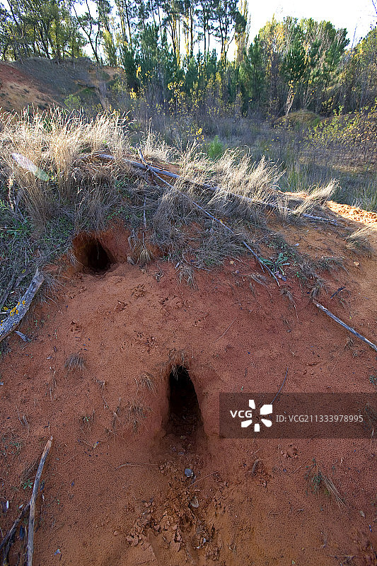 法国普罗旺斯的地洞图片素材