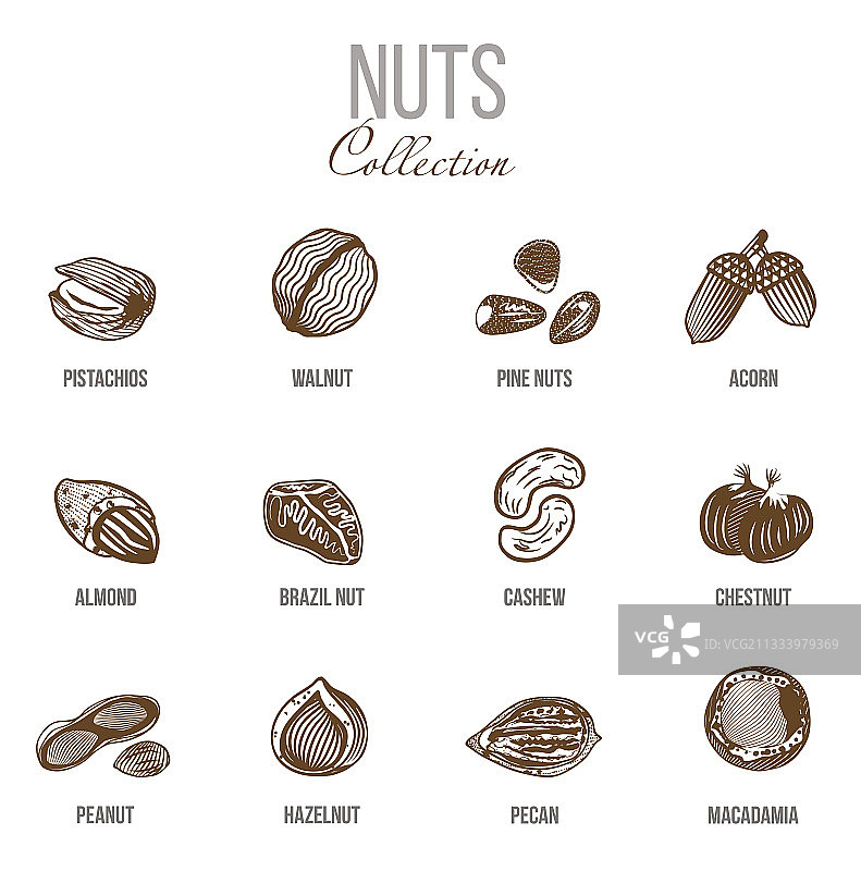 有机食品组合素描图片素材