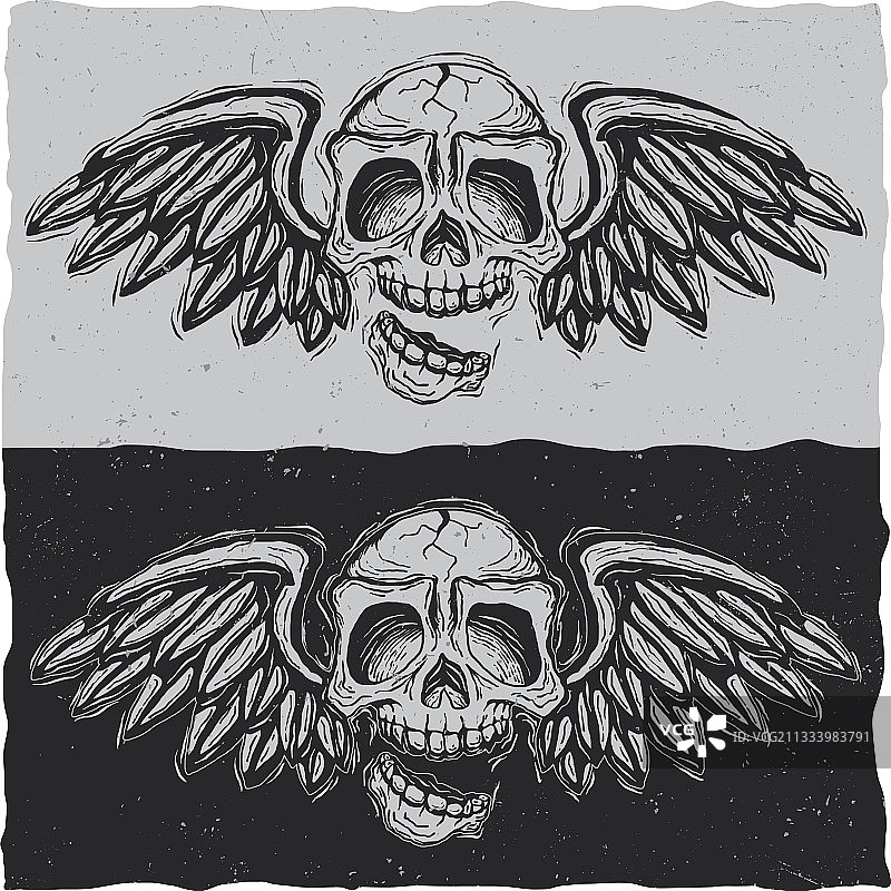 深浅背景上的翅膀骷髅图片素材