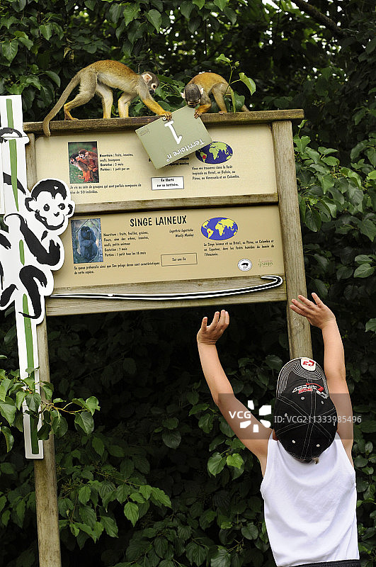 孩子与松鼠猴群，法国山谷图片素材