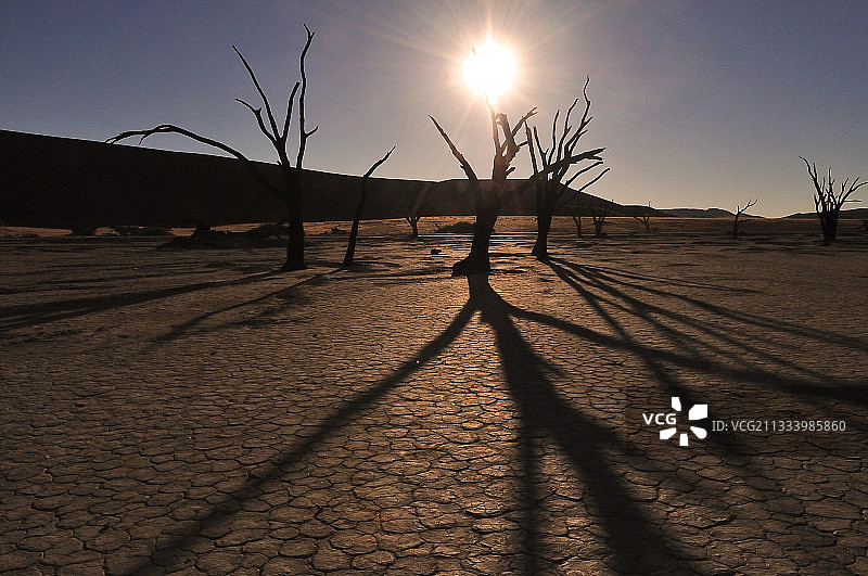 纳米比亚诺克卢夫国家公园的死亡谷黄昏图片素材