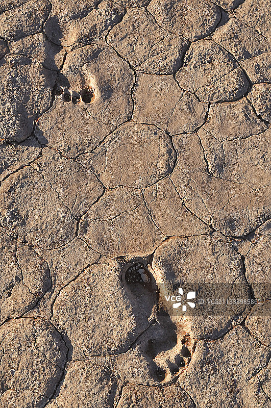纳米比亚沙漠尘土中的脚印图片素材