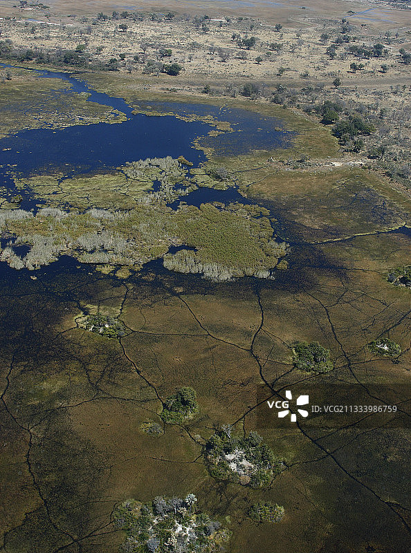 干燥与潮湿的对比。大象清晰可见的足迹。岛屿特征（白色的沙子、棕榈树、灌木...）。纸莎草。小型飞机连接中央三角洲旅馆的航线。图片素材