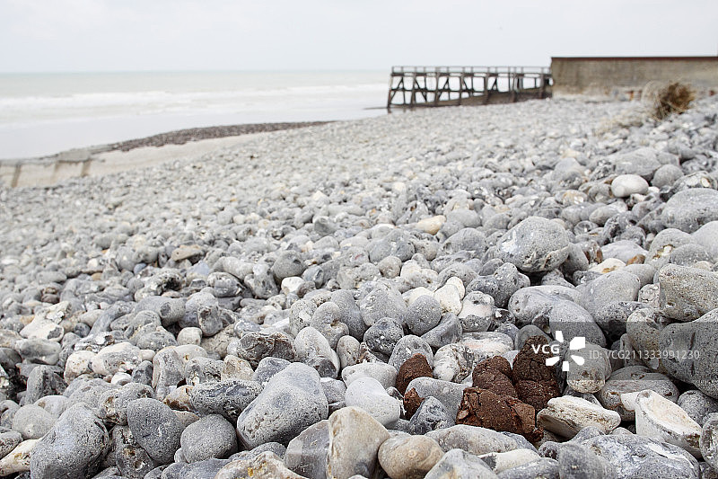 在法国诺曼底鹅卵石海滩上的狗屎图片素材