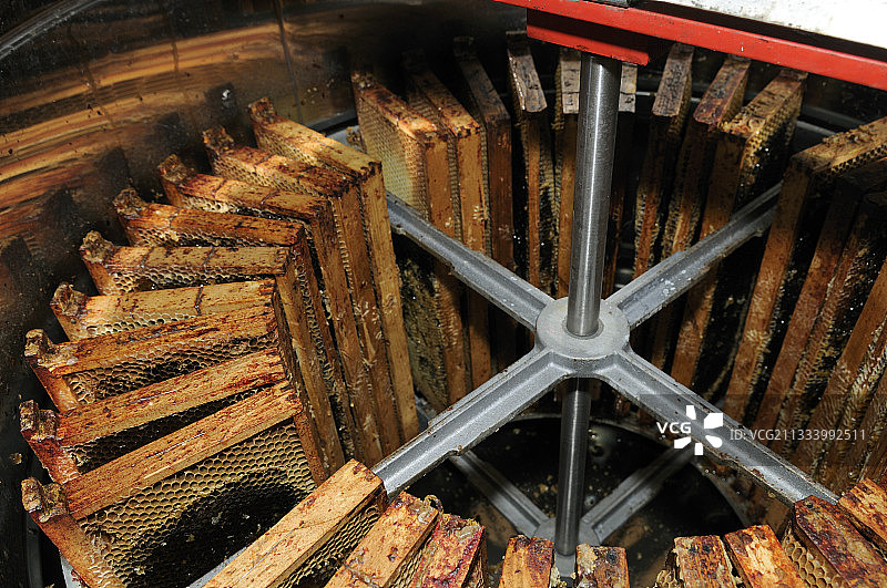 框架放置在离心力作用下蜂蜜细胞的提取器中图片素材