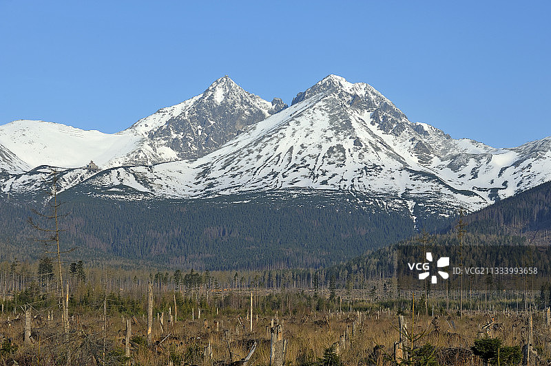 2004年11月19日飓风摧毁山脚下的森林图片素材