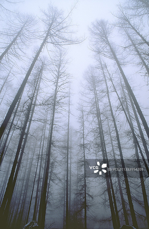 意大利伦巴第塔马拉克冬季山谷图片素材