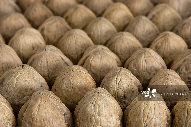 排列晾晒的坚果图片素材