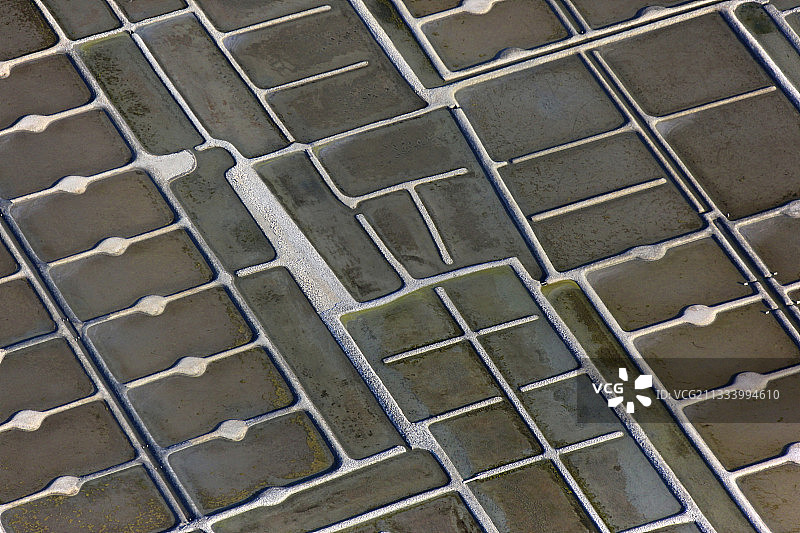 法国盖朗德盐沼图片素材