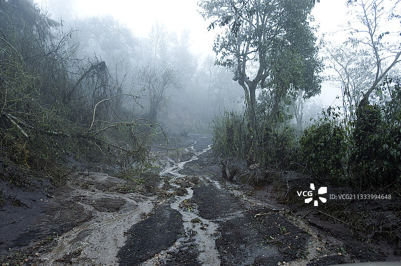 2010年5月27日火山喷发：阿加莎热带风暴期间帕卡亚火山灰河图片素材