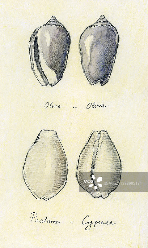有色纸上的水彩画图片素材