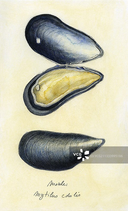 有色纸上的水彩画图片素材