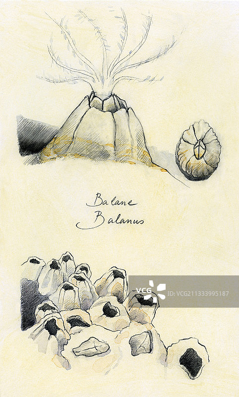 有色纸上的水彩画图片素材