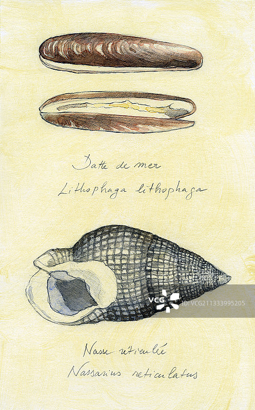 有色纸上的水彩画图片素材