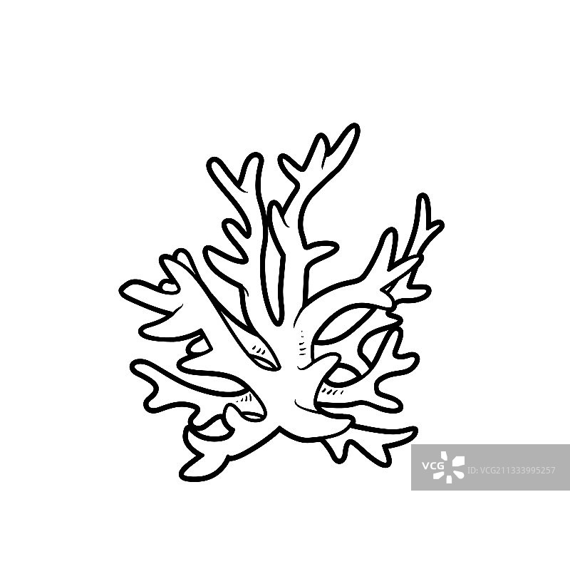 珊瑚主题涂色书线性图图片素材