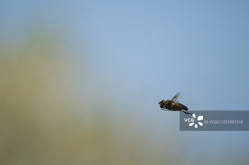 卢瓦尔河畔图片素材