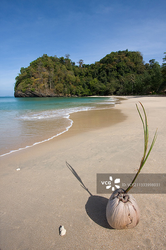 泰国达鲁岛莫拉海滩椰子海滩风光图片素材