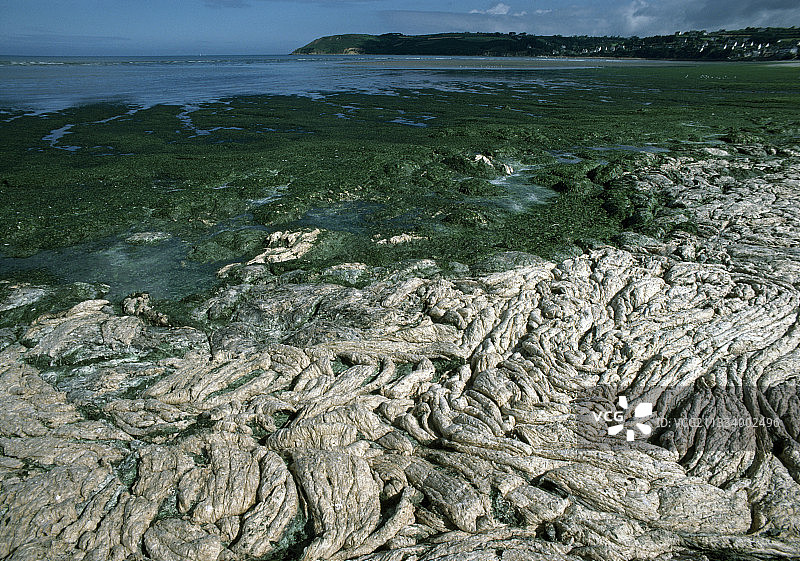 法国圣米歇尔昂格雷夫的绿色潮汐图片素材