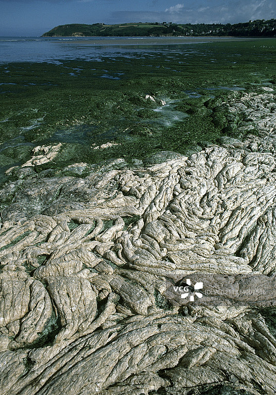 法国圣米歇尔昂格雷夫的绿色潮汐图片素材