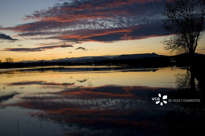 法国塞莱斯塔特冬季莱茵河湿地的日落图片素材