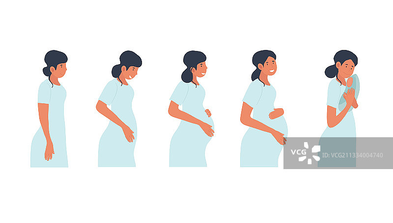 怀孕阶段概念图片素材