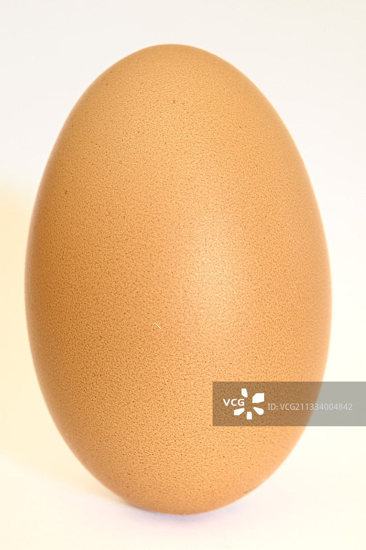 白色背景上的鸡蛋图片素材