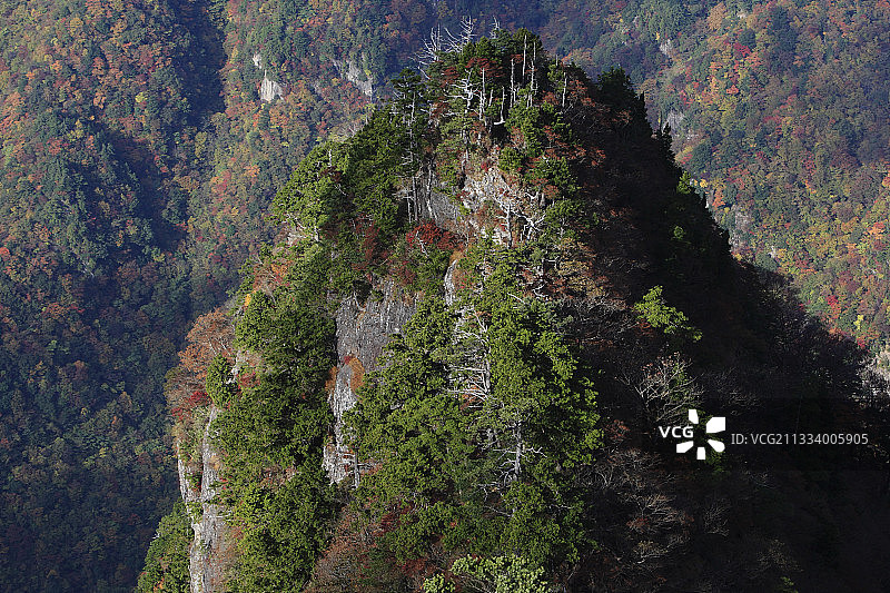 熊野吉野国家公园大台原山图片素材