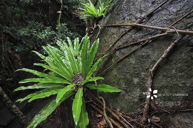 海拔1935米的海岛图片素材