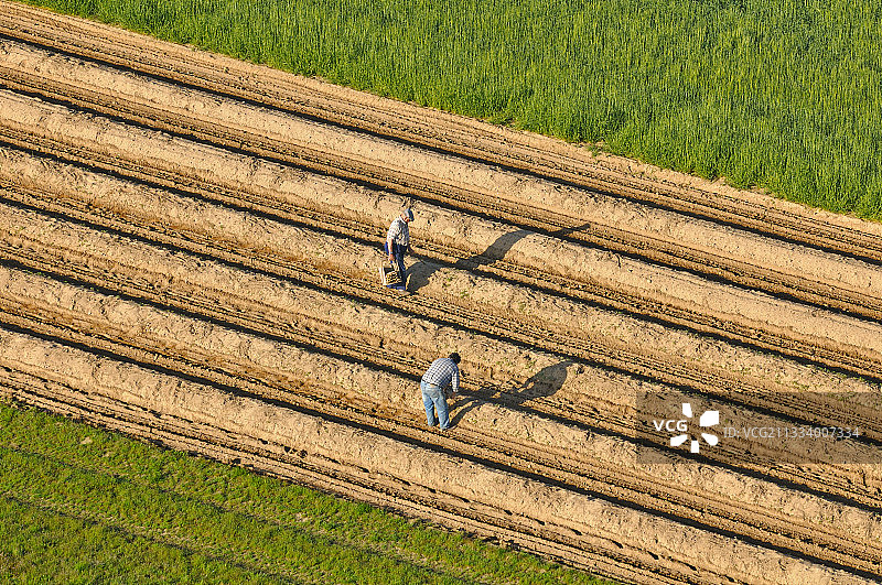 法国图赖讷的芦笋丰收鸟瞰图片素材