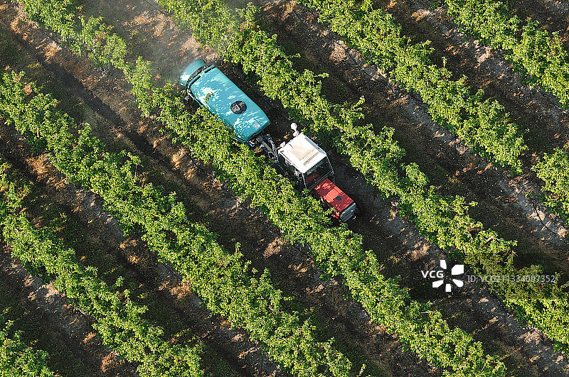 图赖讷地区的苹果农药处理图片素材