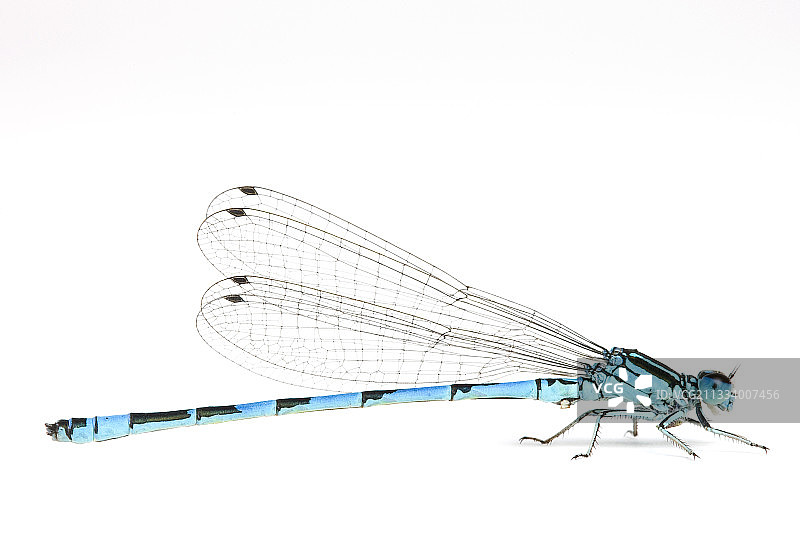 普罗旺斯样本图片素材