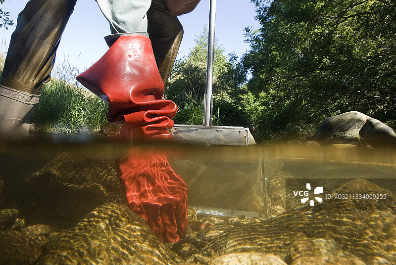 生物学家在法国采集水样图片素材