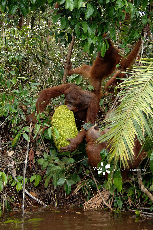 未成年人群体图片素材