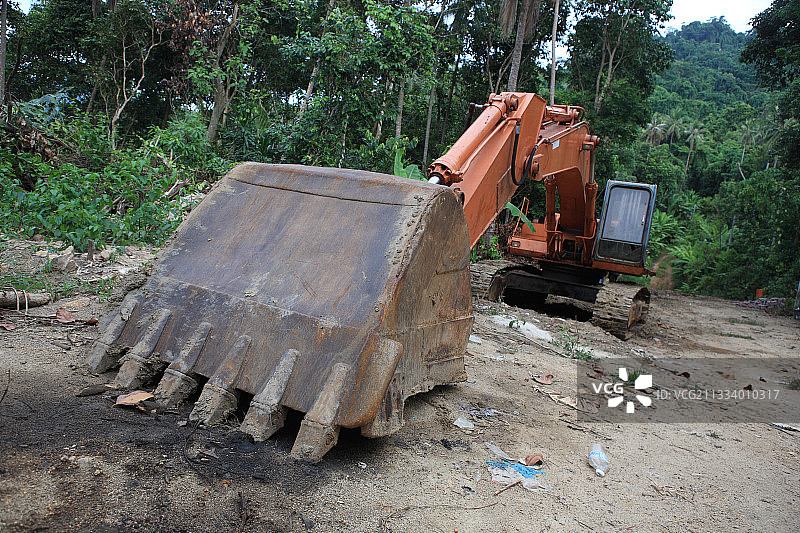 马来西亚小停泊岛雨林中的反铲挖掘机图片素材