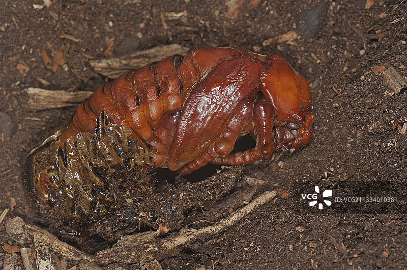 最后阶段图片素材