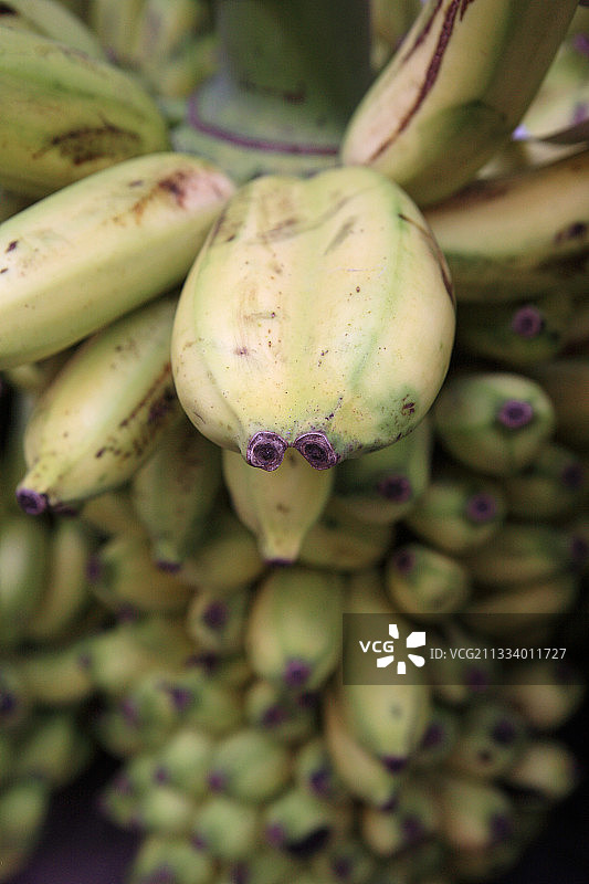 印度市场上的双倍香蕉图片素材