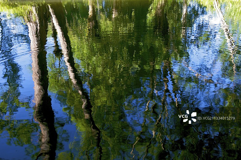 法国波 tok 凡沼泽的树木倒影图片素材