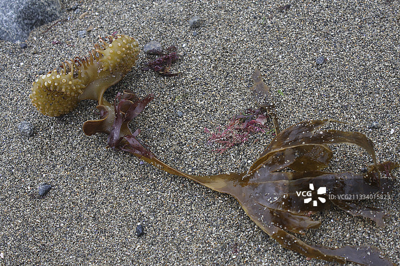 法国布列塔尼的褶皱图片素材