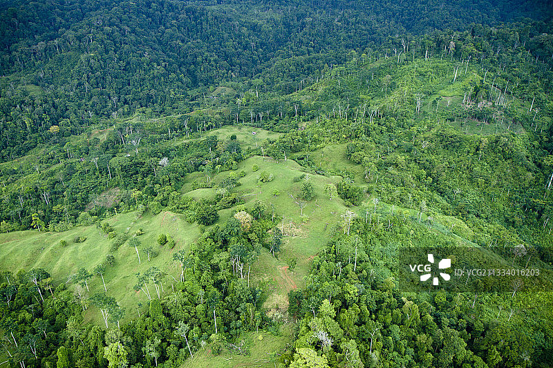 哥斯达黎加科科瓦多国家公园森林航拍景观图片素材