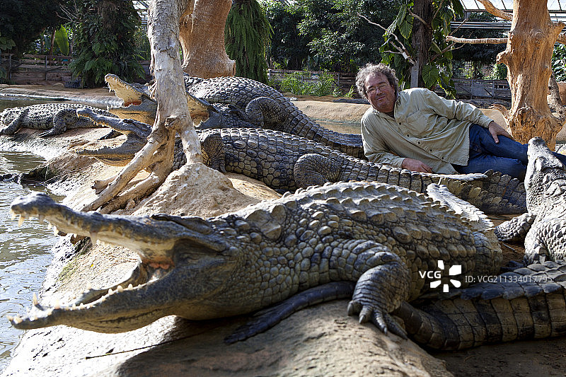 鳄鱼公园图片素材