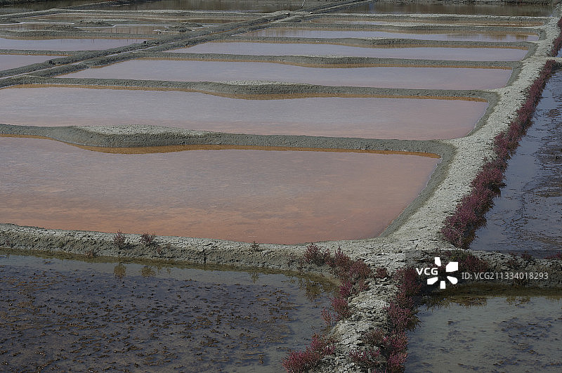 法国格朗德盐沼图片素材