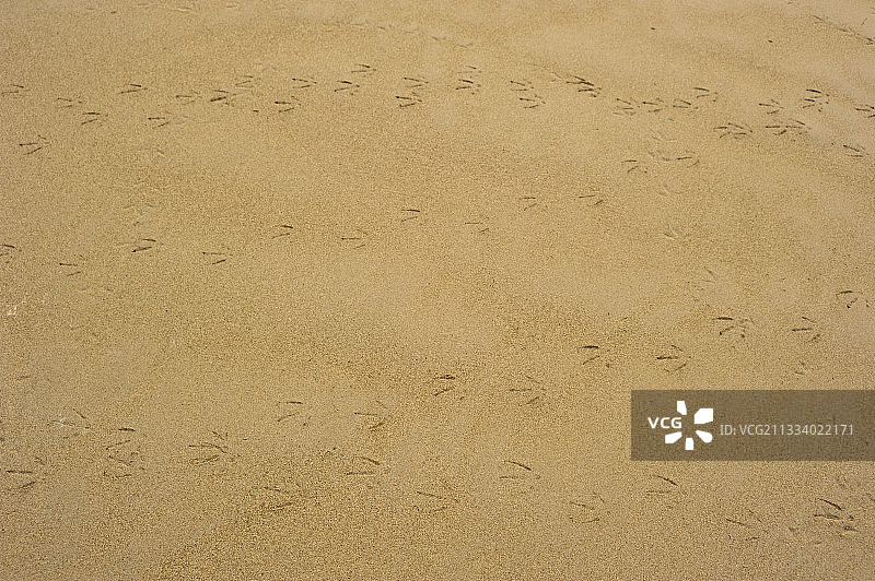 布兰特沙丘脚印，法国图片素材