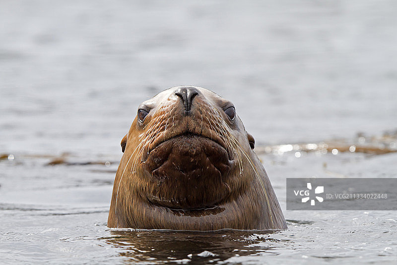 查塔姆海峡和弗雷德里克湾之间的亚沙岛图片素材