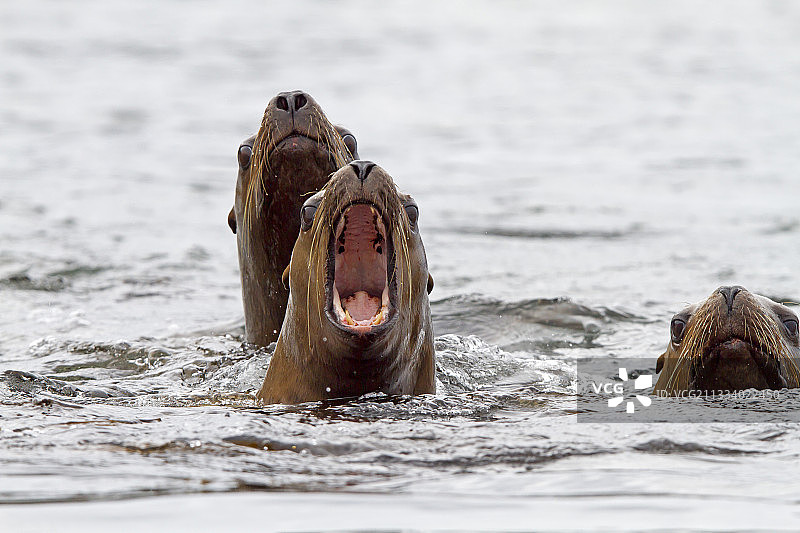 查塔姆海峡和弗雷德里克湾之间的亚沙岛图片素材