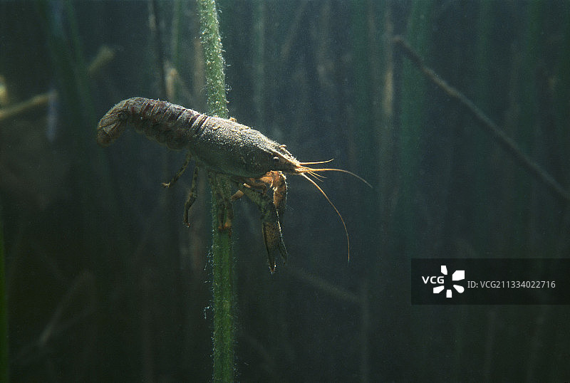 第23页图片素材