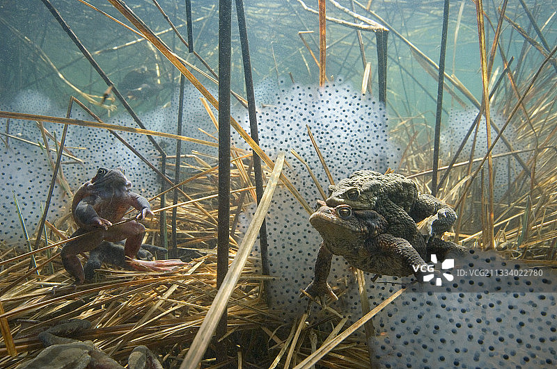 第78页图片素材