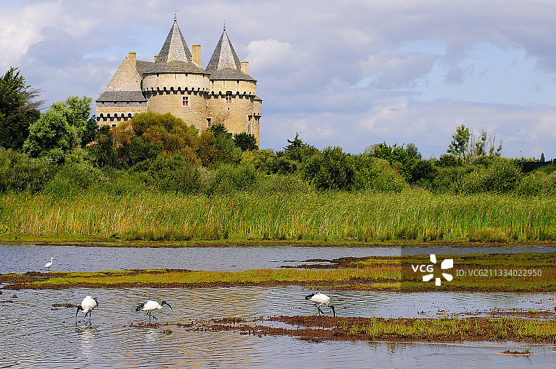 叙西尼奥城堡和非洲圣䴉，位于萨尔佐莫尔比昂图片素材
