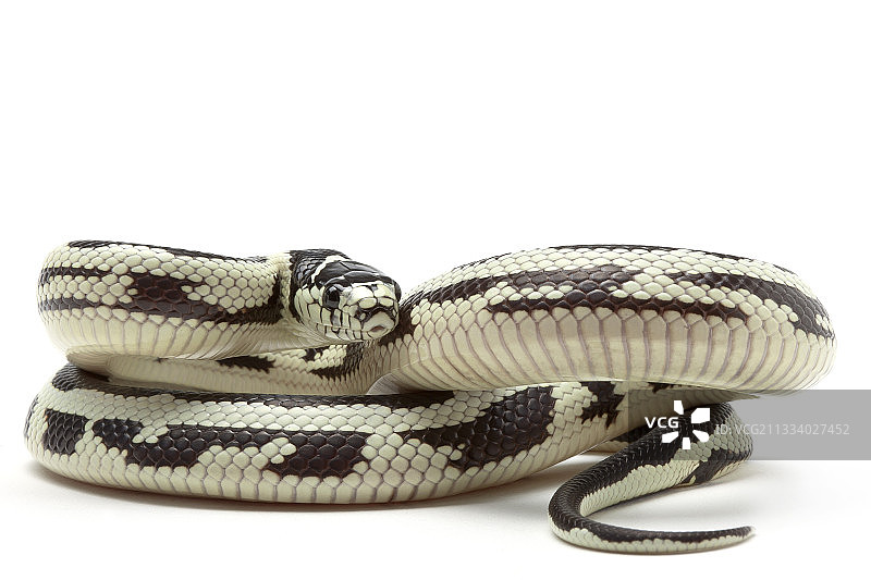 产地：美国图片素材